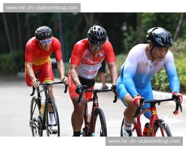 阵容自行车：让你的组合在竞技与生活中持续奔跑